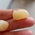 干贝，干瑶柱，一手货源，大量批发