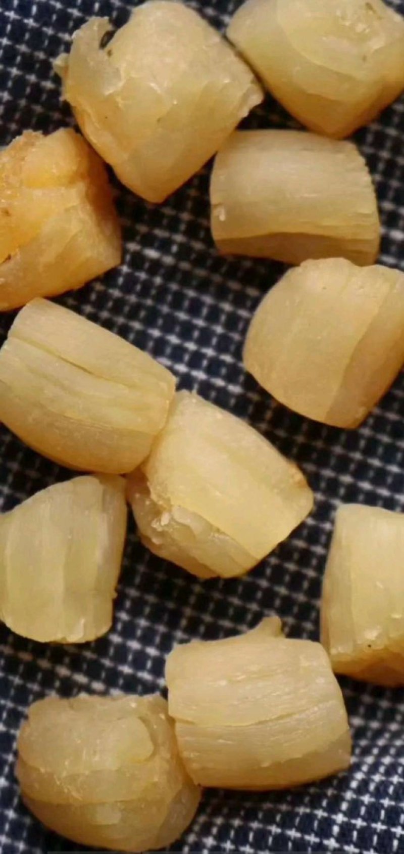 干贝，干瑶柱，一手货源，大量批发
