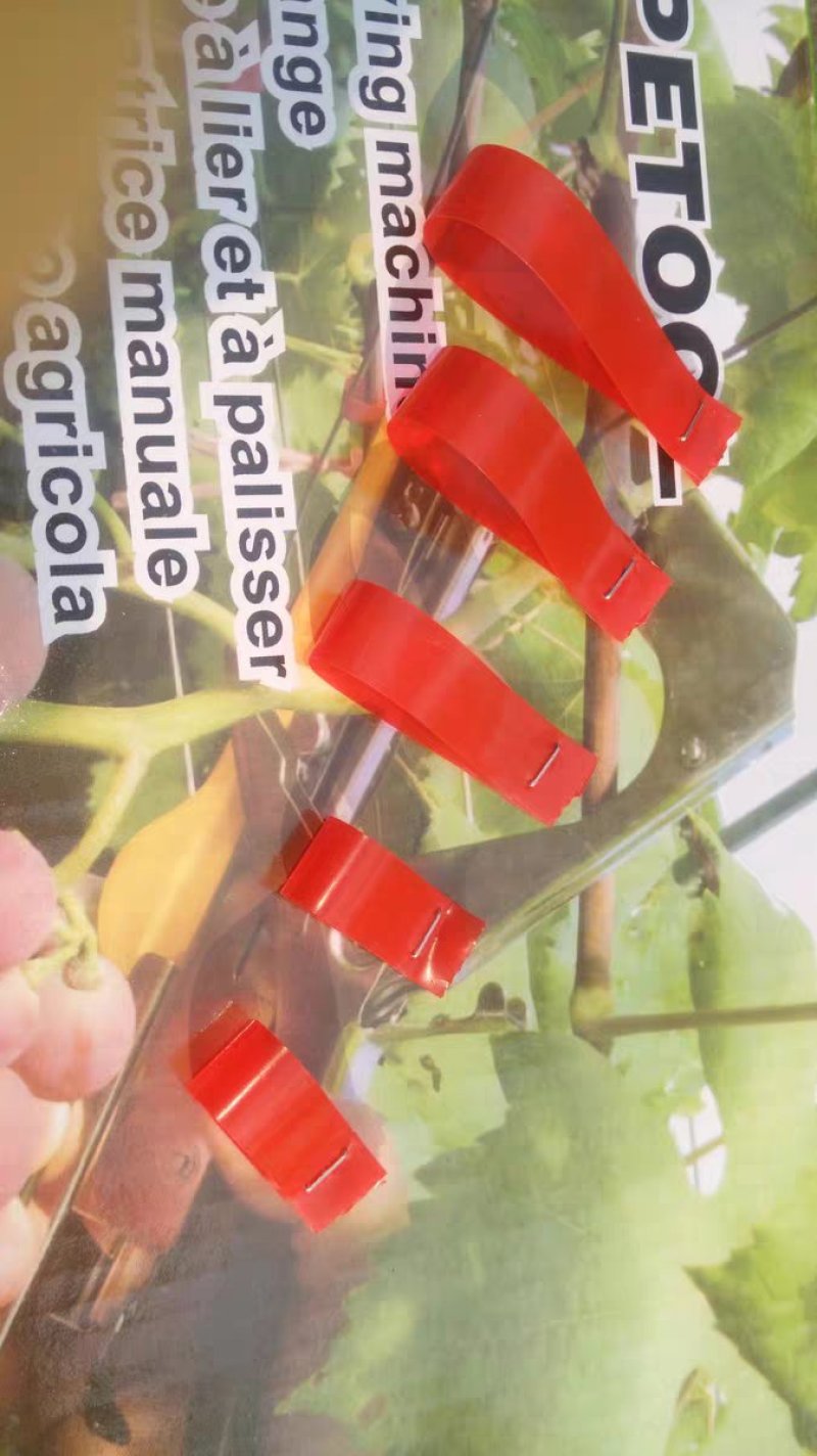 2019新款原装辣椒番茄捆绑枝西红柿绑蔓枪黄瓜绑蔓器葡萄