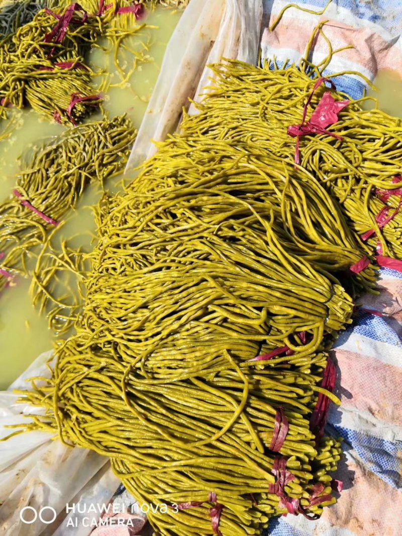 酸豆角大量出售酸豆角
