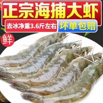 顺丰包邮，国产青岛大虾基围虾大虾对虾青虾净重3.5-4斤