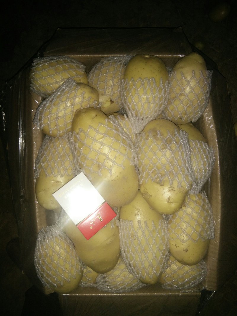 滕州土豆大量上市
