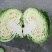 大量供应，奥奇那，扁包菜基地供应货量充足价格便宜