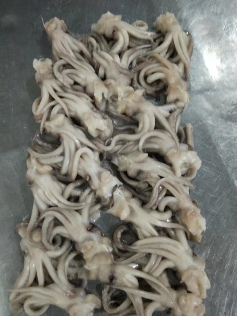 鱿鱼机洗头单冻鱿鱼头鱿鱼头