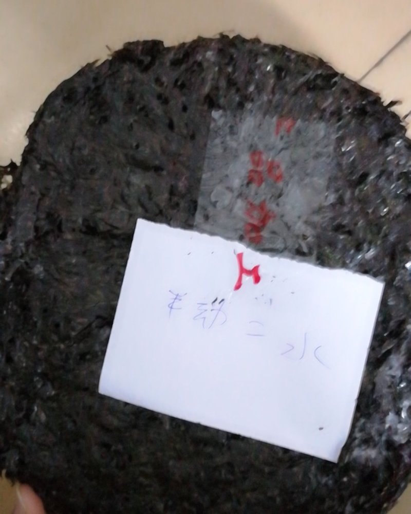 广东粤东沿海原生态紫菜