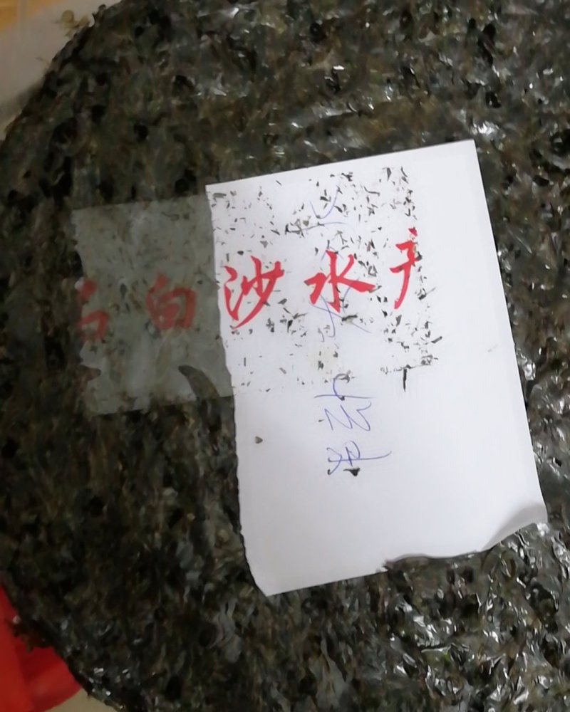 广东粤东沿海原生态紫菜