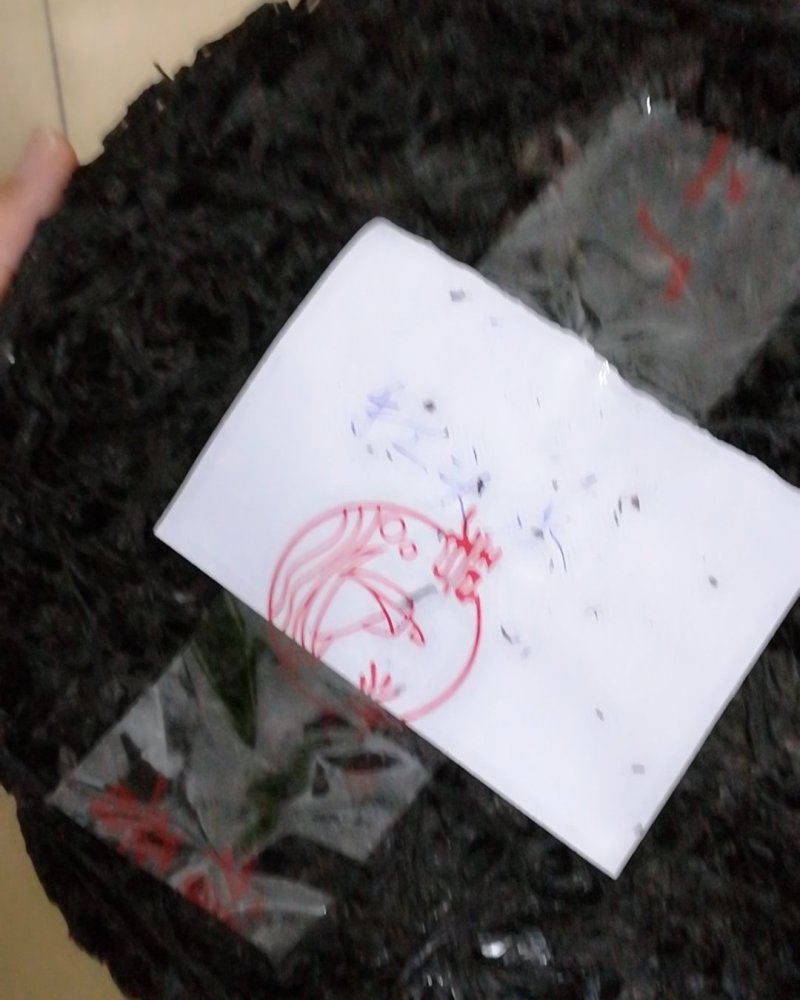 广东粤东沿海原生态紫菜