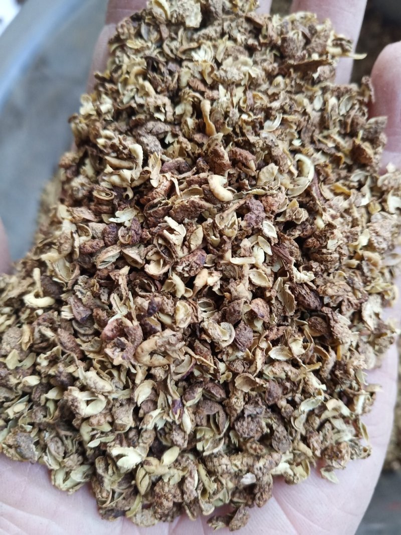 青花椒新鲜麻香厂家直发不含任何杂枝大量批发供应量大从优