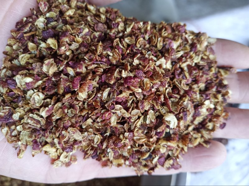 青花椒新鲜麻香厂家直发不含任何杂枝大量批发供应量大从优