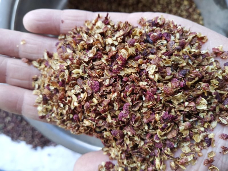 青花椒新鲜麻香厂家直发不含任何杂枝大量批发供应量大从优