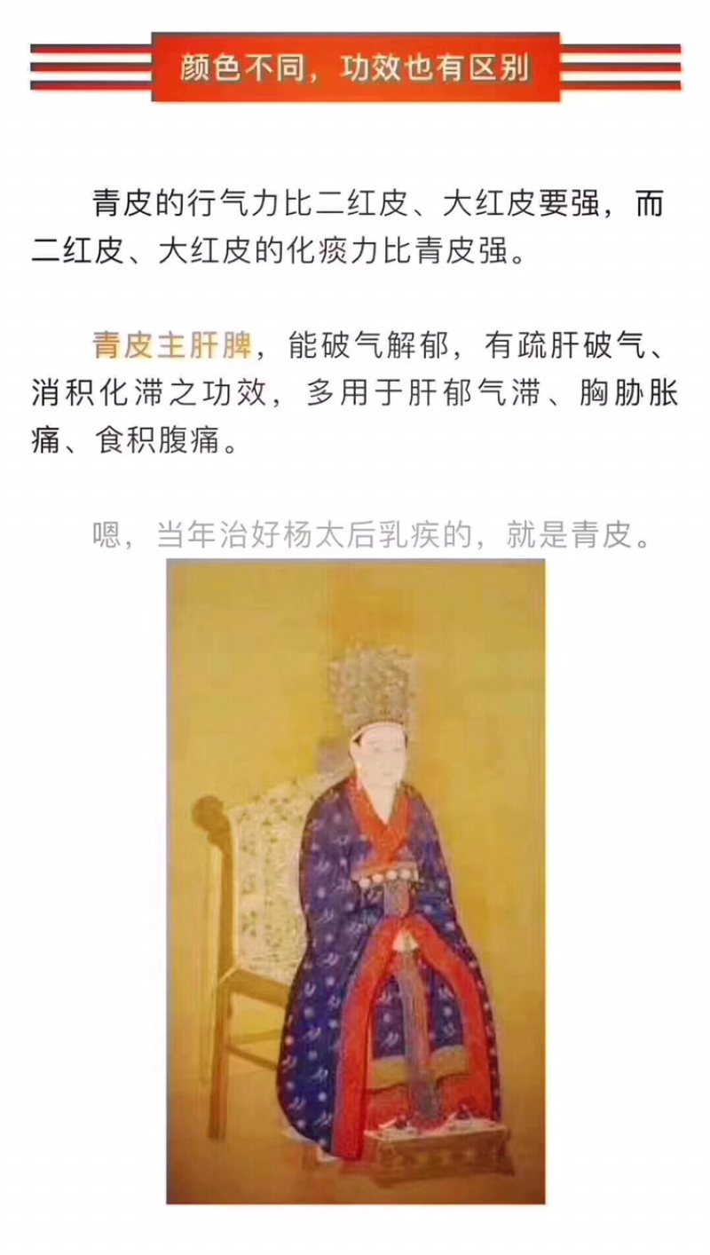 正宗新会陈皮干仓存放9年青皮果仔皮地道天马新会特产