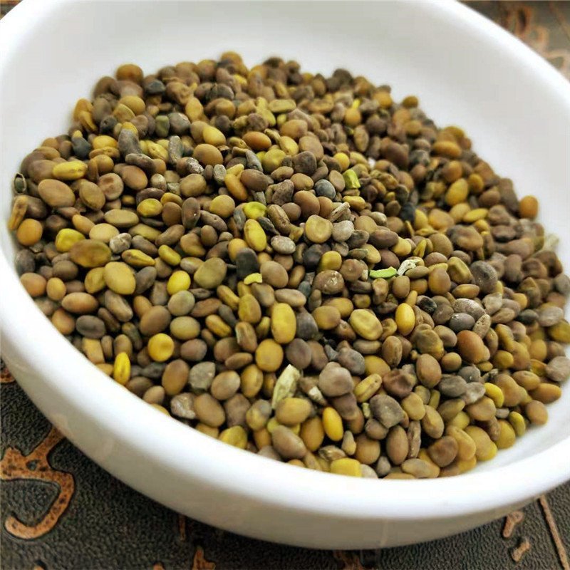 苦豆子产地直销量大从优一手货源