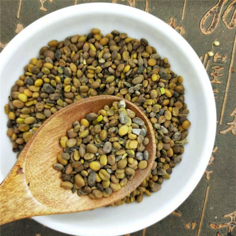 苦豆子产地直销量大从优一手货源