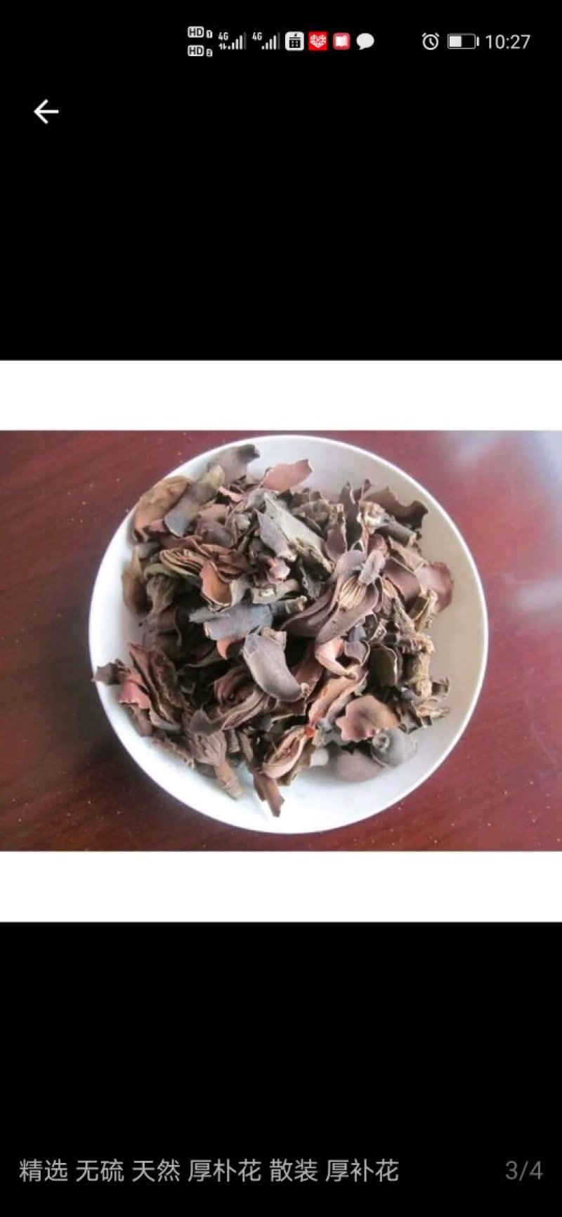 厚朴花（湖南高寒山区海拔1200米优质药材）