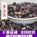 黑豆衣产地直销量大从优一手货源