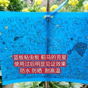 双面防水装粘虫板黄板诱虫板灭虫板篮板果园大棚粘板诱虫板粘
