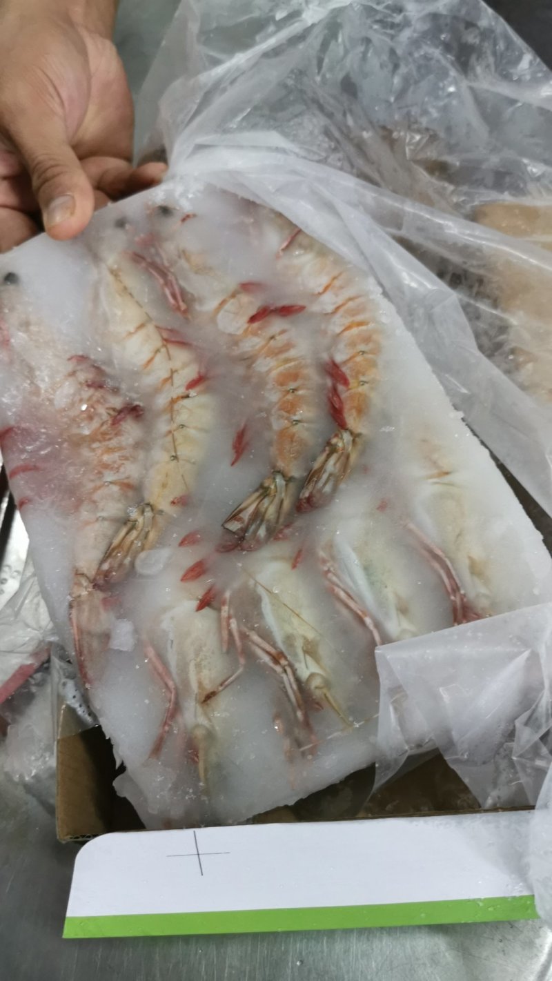 批发鬼虾老虎虾