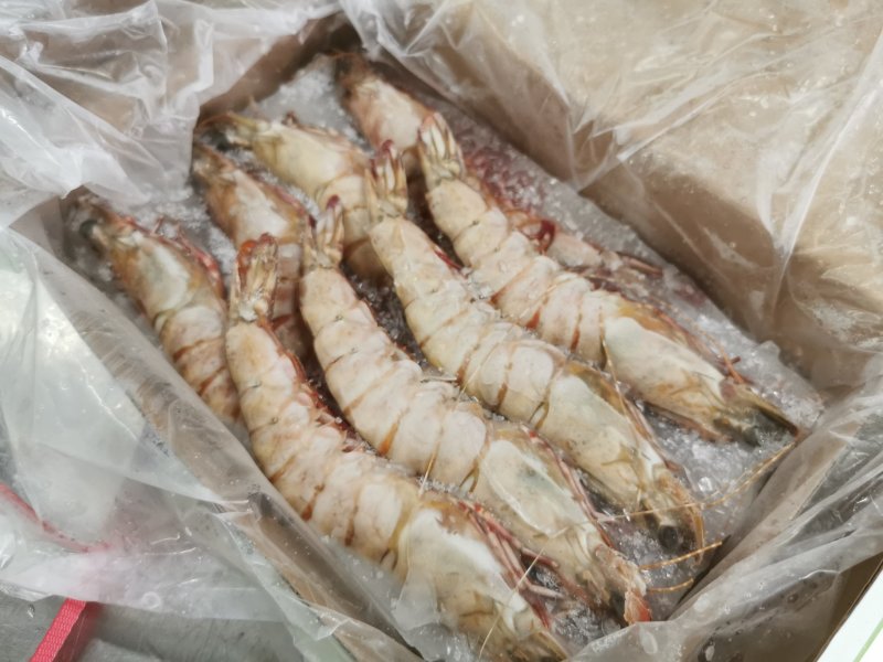 批发鬼虾老虎虾