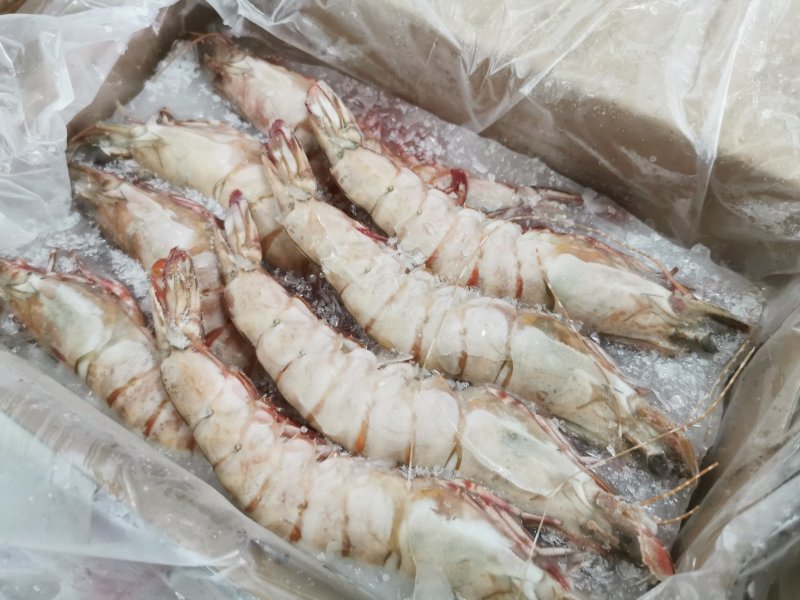 批发鬼虾老虎虾