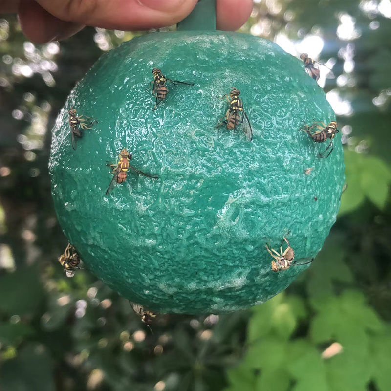 诱捕器〈包邮）粘虫球诱粘球果蝇诱粘器果蝇球诱粘球诱蝇球