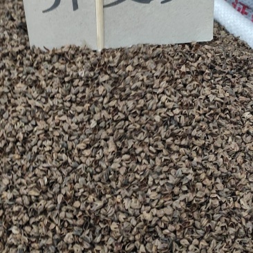 荞麦壳荞麦皮苦荞麦