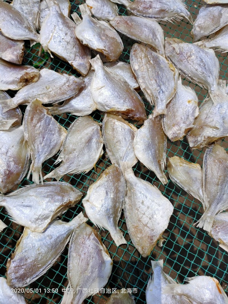 红鲷鱼，红腊鱼干一手货源