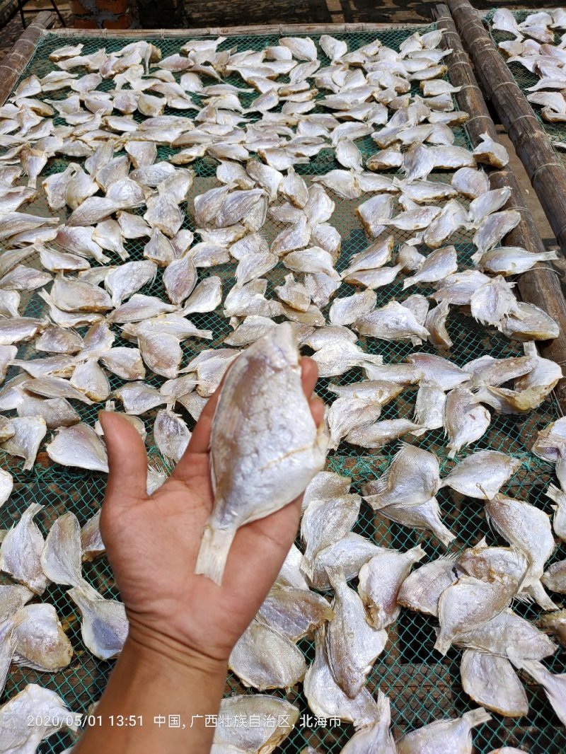 红鲷鱼，红腊鱼干一手货源