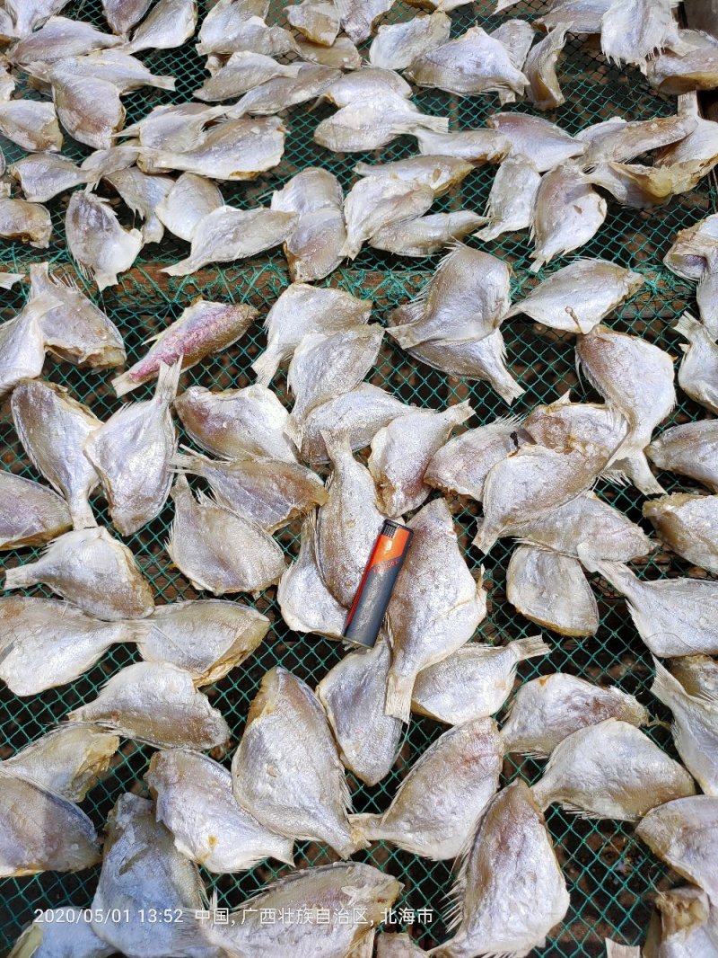 红鲷鱼，红腊鱼干一手货源