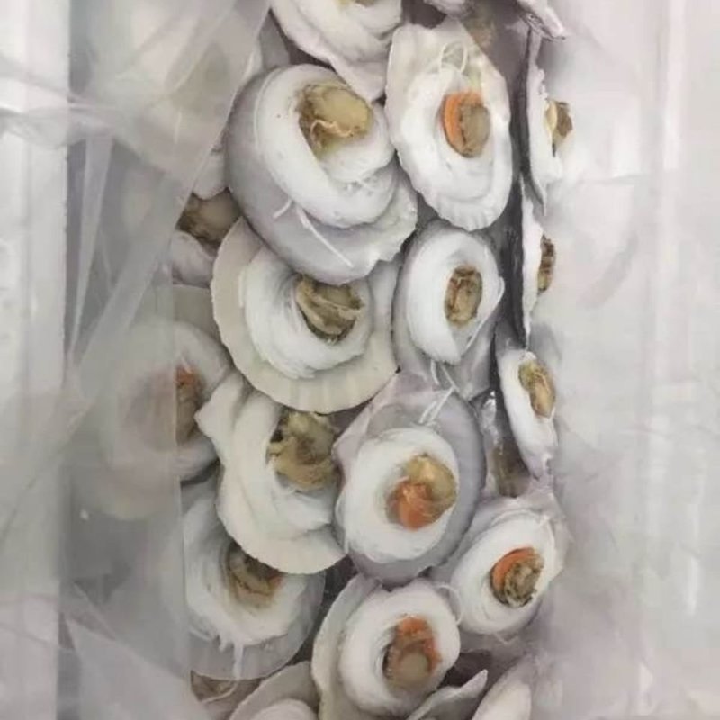 新鲜冷冻小扇贝半壳小扇贝烧烤小扇贝扇贝粉丝