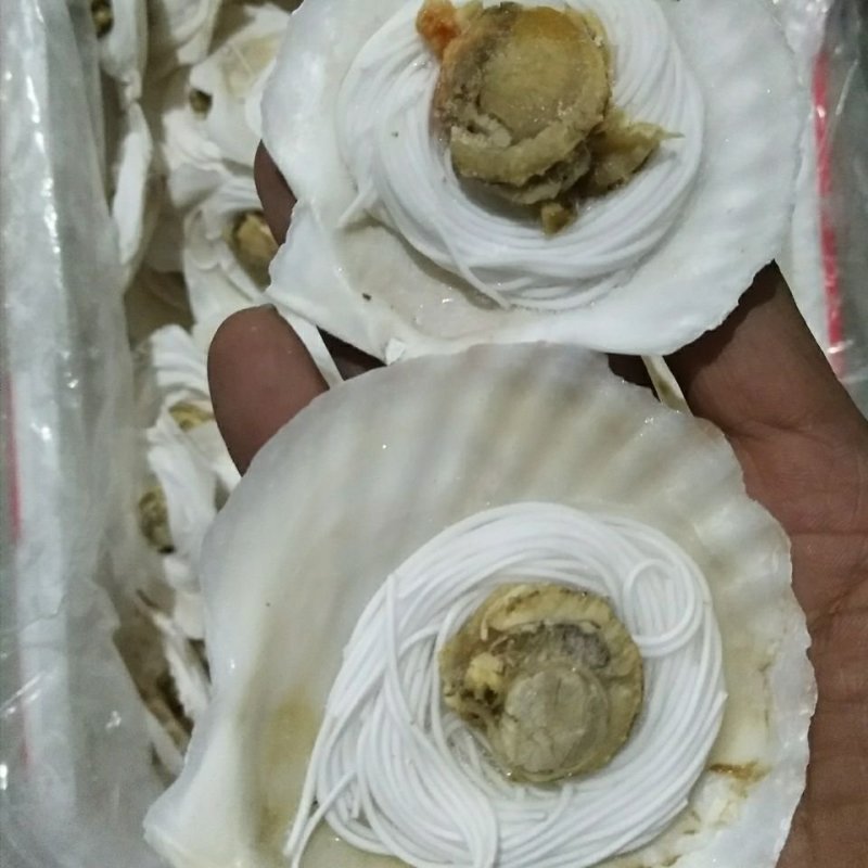 新鲜冷冻小扇贝半壳小扇贝烧烤小扇贝扇贝粉丝