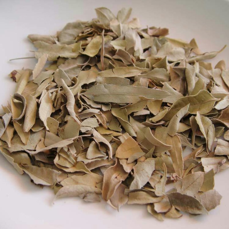 中药材野生新货罗麻布罗布麻叶茶罗布麻叶