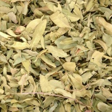 中药材野生新货罗麻布罗布麻叶茶罗布麻叶
