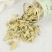 中药材野生新货罗麻布罗布麻叶茶罗布麻叶