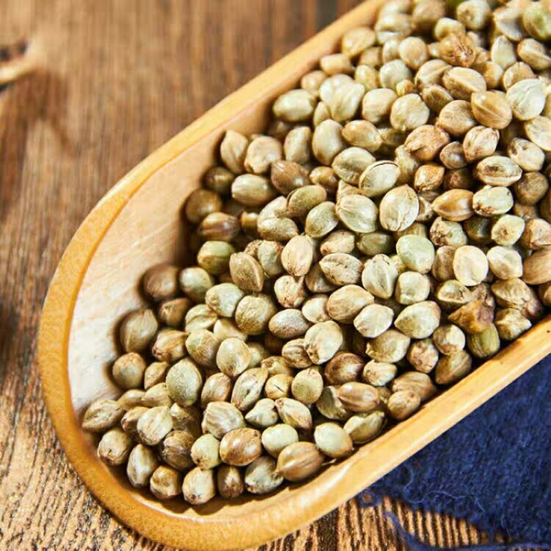 中药材火麻仁5火麻子火麻籽