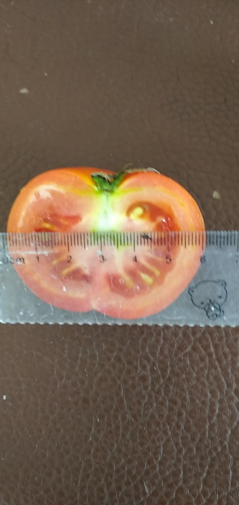 《精选》大红硬果西红柿石头番茄口感甜大小均匀着色均匀1