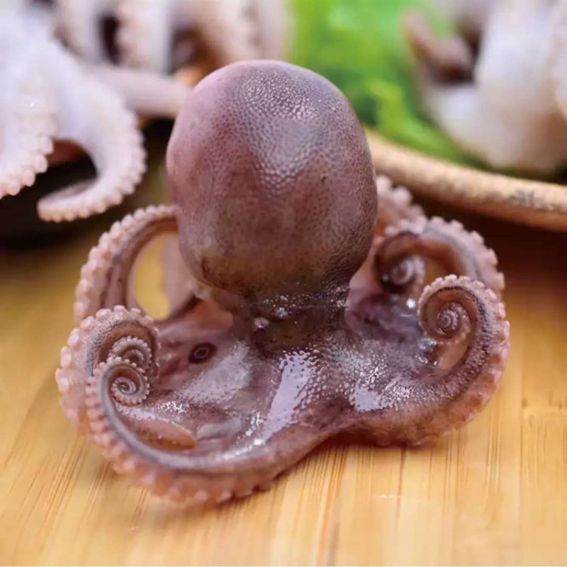 半熟八爪鱼迷你八爪鱼新鲜八爪鱼江苏海鲜水产