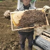 土家蜂蜜假一赔百卖良心产品请您放心