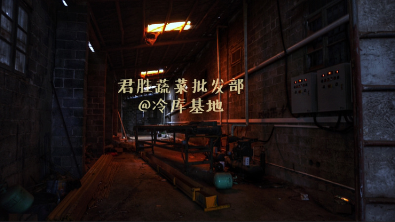 山东太空蒜紫皮白蒜干蒜基地直供商超专用