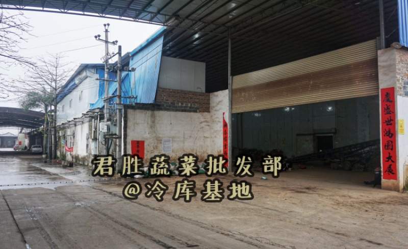 山东太空蒜紫皮白蒜干蒜基地直供商超专用