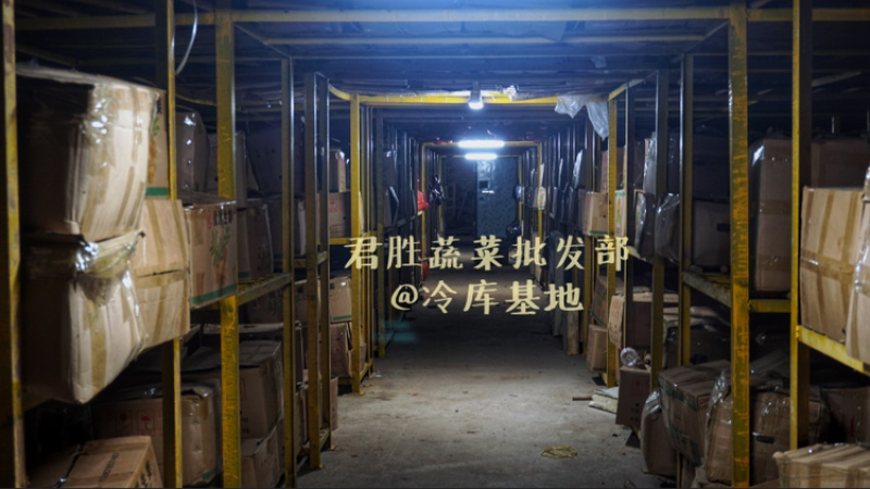 山东太空蒜紫皮白蒜干蒜基地直供商超专用