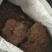 鸭粪稻壳鸭粪谷壳鸭粪稻壳有机肥稻壳