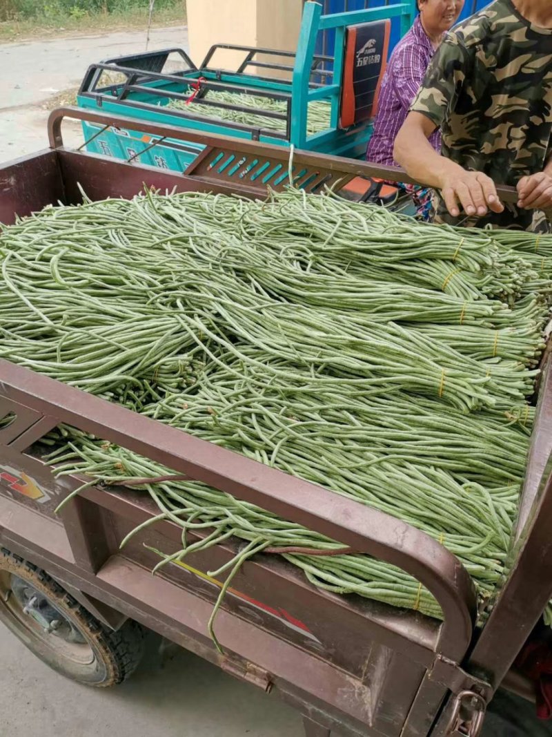 长豆角