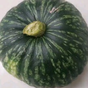 南瓜