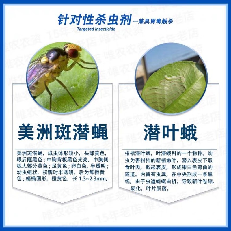 阿维灭蝇胺美洲斑潜杀虫剂地图虫潜叶蛾鬼画符专用杀虫剂