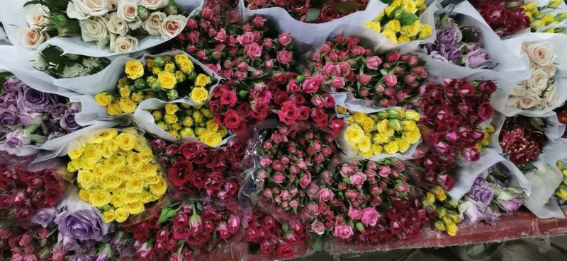 多头玫瑰花品种齐全昆明基地发货一手货源代发可对接全国市场