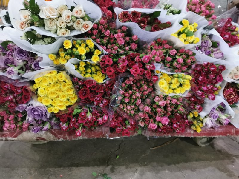 多头玫瑰花品种齐全昆明基地发货一手货源代发可对接全国市场
