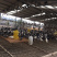江苏沭阳陇集大型养殖场，全年供应种鸽，乳鸽，鸽子蛋