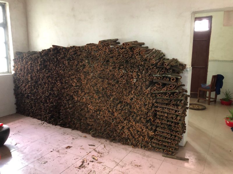 桂皮干货