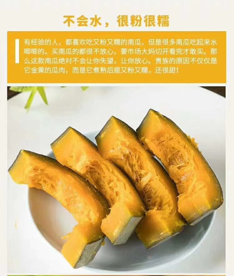 新疆阿克苏沙漠边缘丑瓜