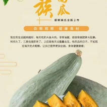 新疆阿克苏沙漠边缘丑瓜